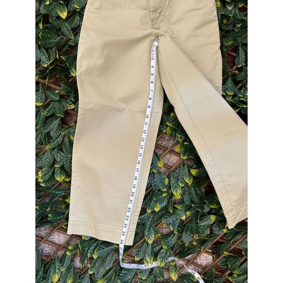 Madewell Relaxed Chino Pants in Pale Lichen Size 00 - Picture 13 of 16